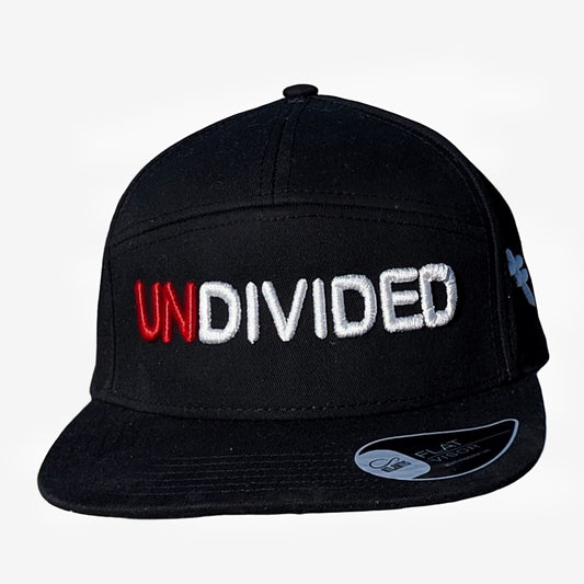 Undivided Fitted Cap