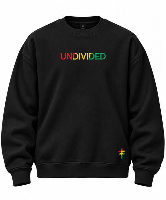 Undivided Africa Hoodie / Sweat Top