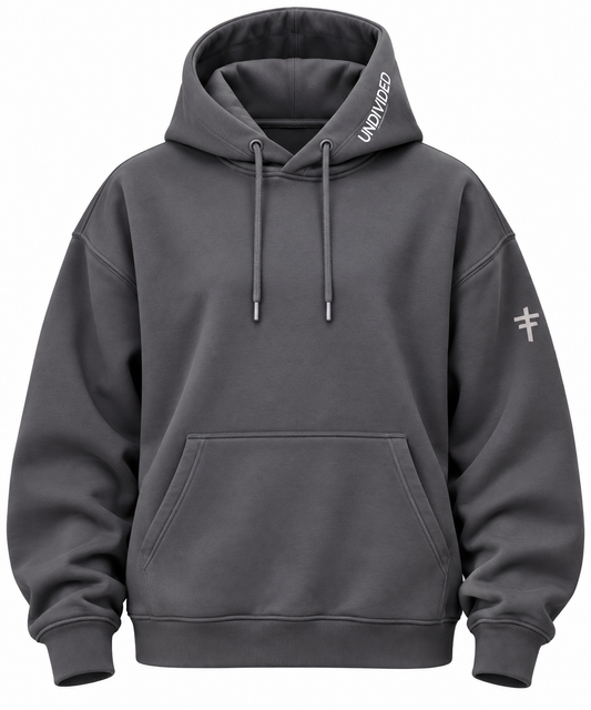 Graphite Grey Undivided Brushed Fleece Hoodie